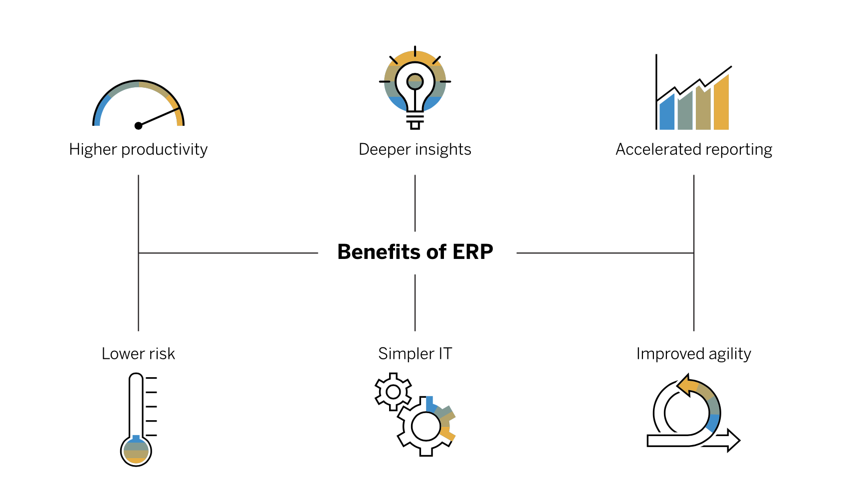 Enterprise Resource Planning (ERP)