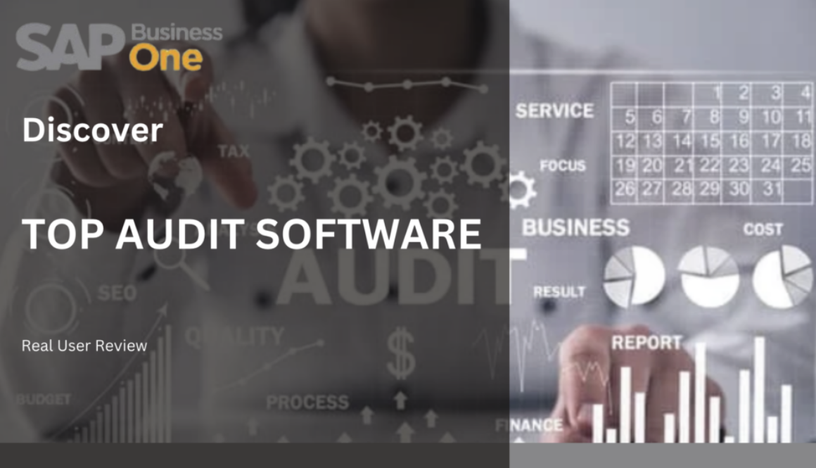 top audit software 2024