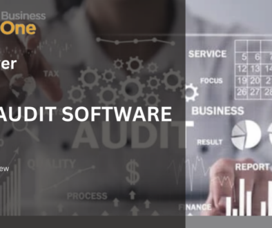 top audit software 2024